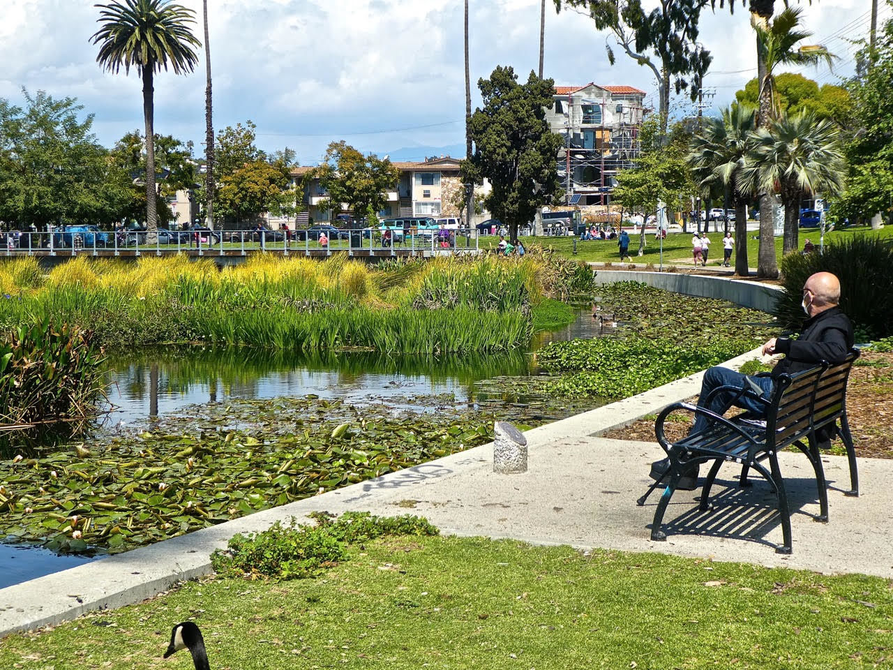 echo park lake bench sandy driscoll.jpg